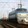 EF66-111 貨物列車