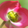 百年続きます様に‥
