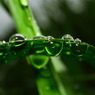 DEEP CRYSTAL GREEN