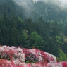 桃源郷