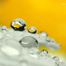 雨露レンズ