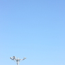 空色