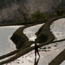 IMG_0101-1