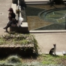元町公園
