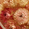花は匂へど１