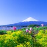 色鮮やかに