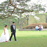 桜 函館五稜郭公園 2012年5月8日