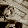 _53Y0940