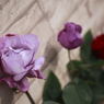 _53Y0942
