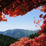 ツツジに囲まれた山