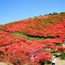 赤く染まる葛城山