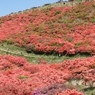 葛城山一望