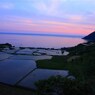 棚田の朝焼け