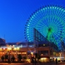 大阪海遊館夜景