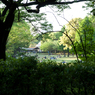 穏やかな公園の休日