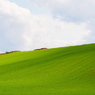 Velvet Hill 2012-Spring