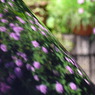 映