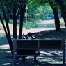 公園の風景～昼下がり～