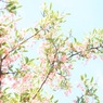 ５月のソラへ