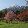 裏岩手山- 県民の森