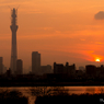 東京スカイツリー夕景