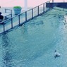公園の風景～人間観察～