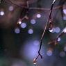 水の真珠