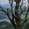 神鍋高原