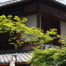 清水寺周辺2