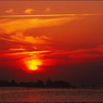 photo_1859428
