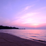 photo_1859432