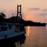 夕日　間人港