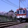 大和郡山城跡の桜と近鉄電車　6195