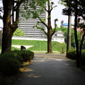 岡崎公園の5月