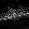 龍１