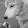 ふむふむ、それで......