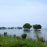 よく見る湖北の風景