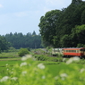 7T3A8815