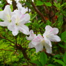 P5260006