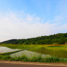 P5260034