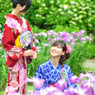 菖蒲に包まれて