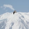 Man on the Silver Mountain
