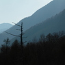 静山
