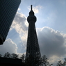 空へ向かって