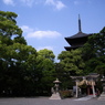 社のその奥に