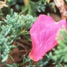 img027