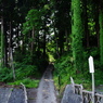 慈恩寺  トトロの森入口