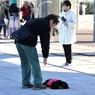 もう歩きたくないよ！