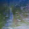 梅雨入り