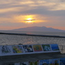 西海岸
